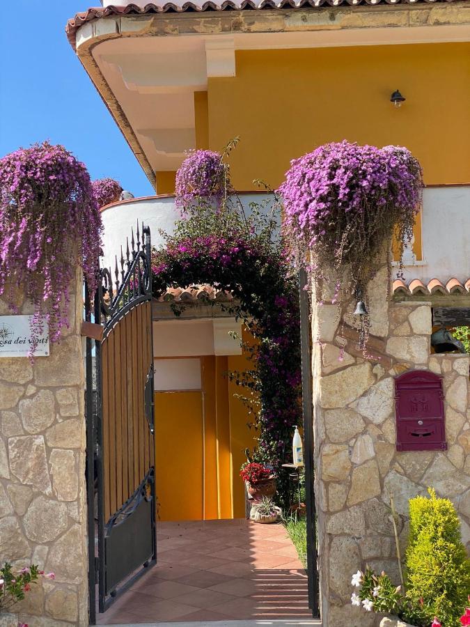 Rosa Dei Venti Accomodation Tropea Exteriör bild